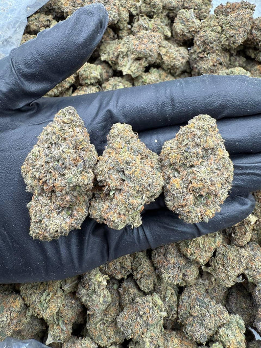 Blue Sherbert