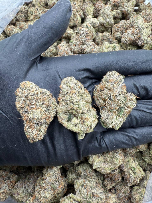 Jolly Rancher