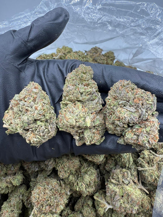 Lemon Cherry Gelato
