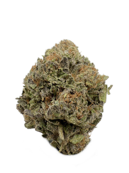 Lemon Cherry Gelato