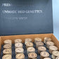 RE|UP Infused Pre-Rolls