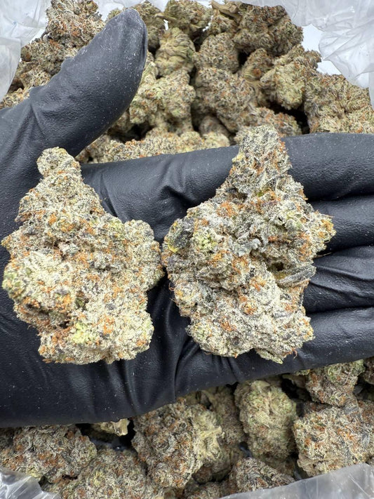 White Trufflez